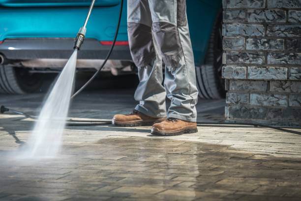 Best Roof Washing  in Parkwood, WA